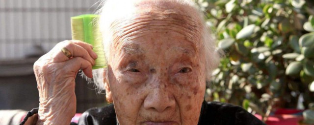 百歲奶奶的長壽秘訣 百歲奶奶的長壽秘訣介紹