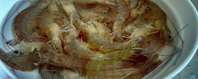 基圍蝦怎麼清洗 基圍蝦處理方法