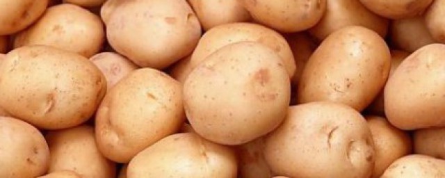 土豆條做法油炸 土豆的營養價值