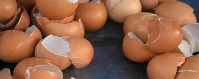 雞蛋殼如何用 妙用雞蛋殼