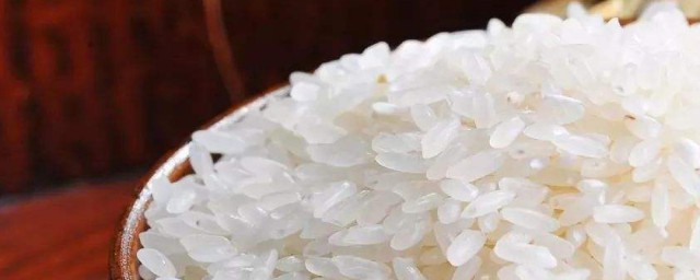 米面生蟲怎麼解決 米面生蟲解決方法