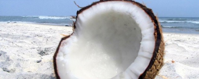 椰子粉的作用 椰子粉的作用是什麼