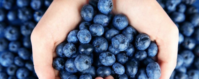 藍莓可以怎麼保存 保存藍莓的方法