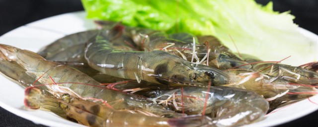 蝦怎麼保存不軟 鮮蝦這樣保存鮮度不減