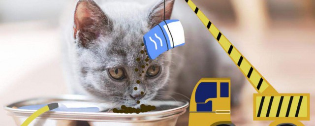 怎麼正確保存貓糧 有什麼方法