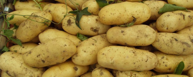 土豆怎麼做才不粘 土豆不粘的做法簡述