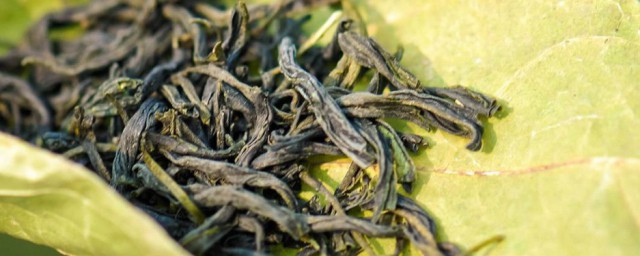茶葉保存用什麼罐子 茶葉保存方法