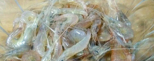 風幹海蝦怎麼保存 蝦幹保存方法介紹