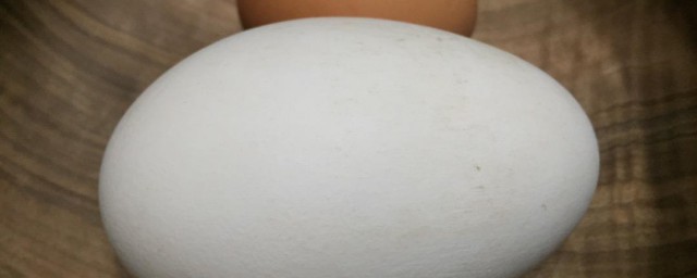 鮮鵝蛋怎麼清洗保存 有什麼保存的技巧
