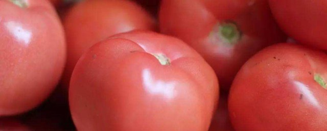 西紅柿做法簡單 西紅柿做法