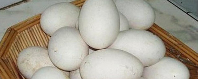 鵝蛋洗好怎麼保存 保存鵝蛋的方法