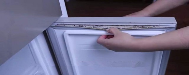 冰箱的黴怎麼擦掉 去除冰箱內的黴菌的方法