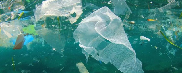 塑料有多污染 塑料的危害有多大
