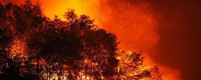 森林大火起因 森林火災發生的原因