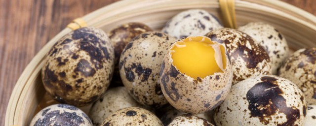有沒有比鵪鶉蛋小的蛋 世界上最小的蛋是什麼