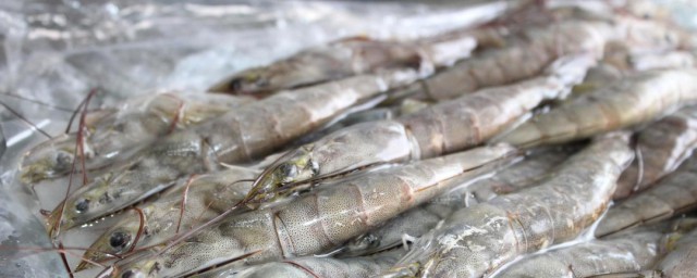 凍的河蝦怎麼做好吃 凍蝦做法