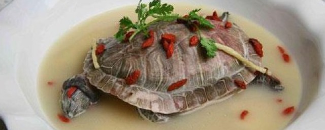 烏龜怎麼做好吃簡單 紅燒烏龜肉做法