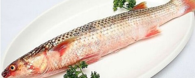 草魚整條魚怎麼做好吃 紅燒草魚的做法