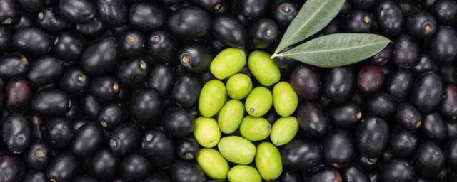 黑色橄欖的功效與作用 對人體的好處