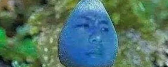 藍瘦香菇是什麼 藍瘦香菇是什麼意思
