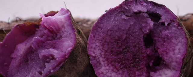 怎麼保存紫薯不壞 這裡告訴你怎麼保存紫薯不壞