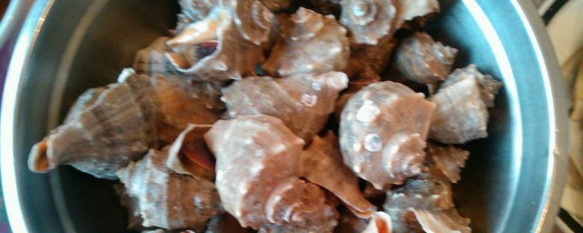 水煮海螺的正確方法 水煮海螺的正確方法介紹