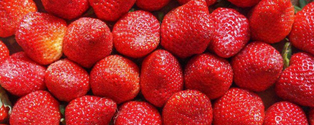 草莓發酵怎麼處理 草莓怎麼發酵