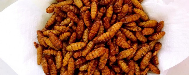 蜂蛹怎麼做最好最有營養 蜂蛹怎麼做好吃