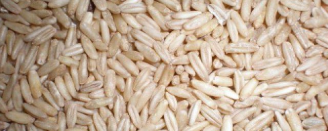 大麥仁怎麼保存 大麥仁怎麼吃