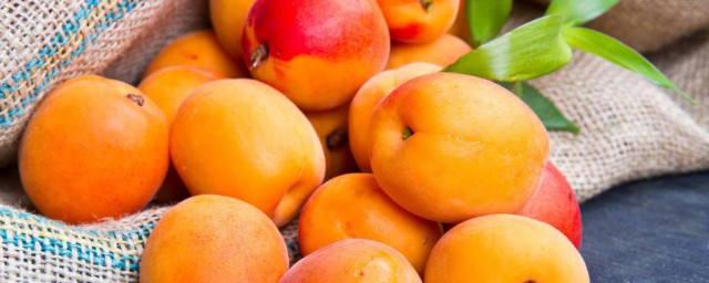 新鮮紅杏怎麼保存 新鮮紅杏保存方法