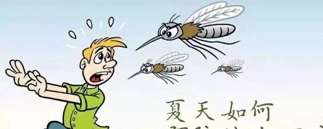 消滅蚊子的制作方法 如何消滅蚊子