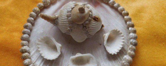 貝殼怎麼做擺件 下面教你貝殼怎麼做擺件