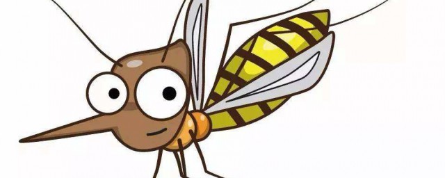 怎麼捉住活的蚊子喂給蜘蛛吃 方法告訴你