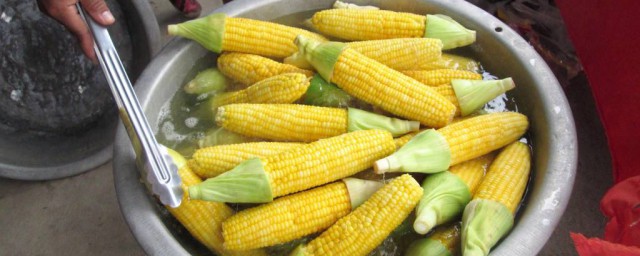 新鮮生玉米怎麼做美食 新鮮生玉米可以做什麼