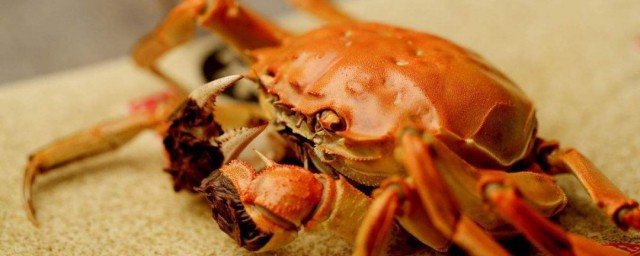 隔夜的螃蟹能吃嗎 可以吃
