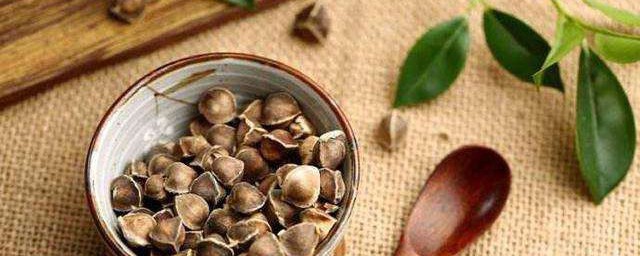 辣木籽的功效與作用怎麼吃 對人體的好處