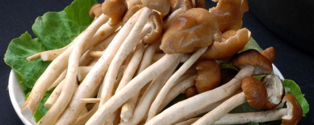 茶樹菇怎麼做好吃 做茶樹菇的步驟