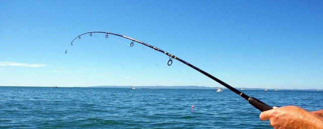 肥水養殖釣魚技巧 要怎麼釣魚呢