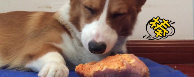 狗能吃紅薯嗎 自傢的狗可以吃紅薯嗎