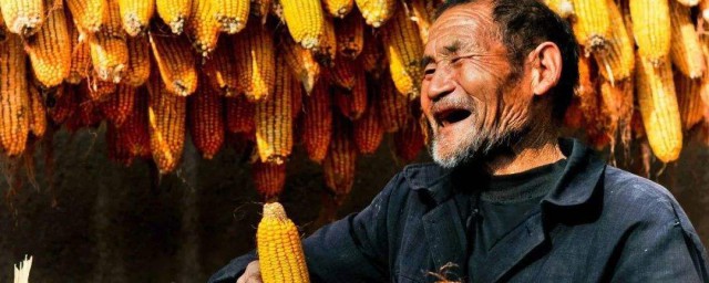 中國農民豐收節是每年的幾月幾日 它是什麼時候成立的