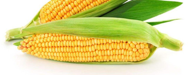 血糖高能吃玉米嗎 血糖高是能吃玉米的