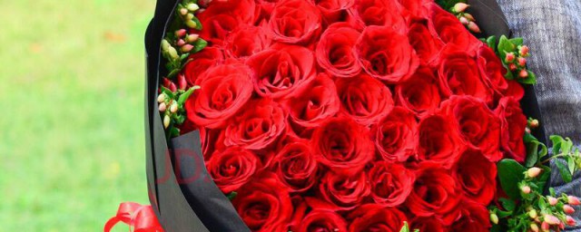 33支玫瑰花語是什麼 玫瑰花33朵浪漫花語