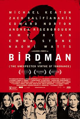 鳥人 Birdman or The Unexpected Virtue of Ignorance