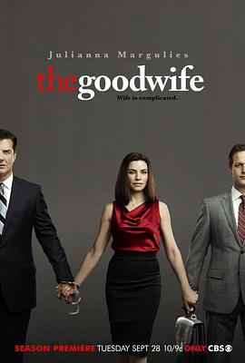 傲骨賢妻  第二季 The Good Wife Season 2