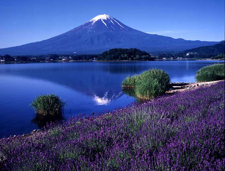 富士山-神聖之地和藝術啟迪之源 Fujisan sacred place and source of artistic inspiration