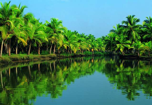 喀拉拉邦回水區 Kerala Backwaters