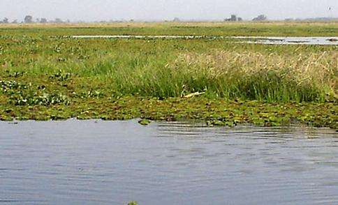 印多吉湖野生動物保護區 Indawgyi Lake Wildlife Sanctuary