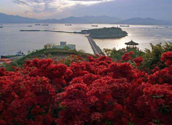梧桐島 Odongdo Island