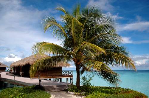 波莉珊瑚島 Bolifushi Island Resort Maldives