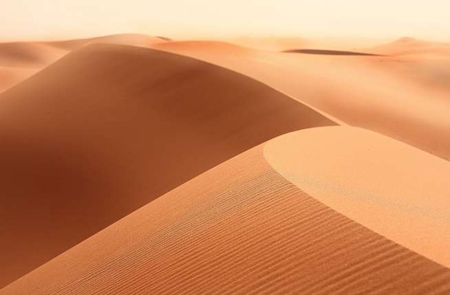 阿拉伯沙漠 Arabian Desert